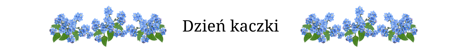 Sobotnie grillowanie (8).png (237 KB)